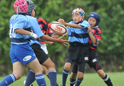 ラグビー　タックル