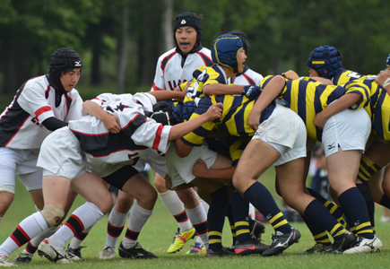 モール　密集戦