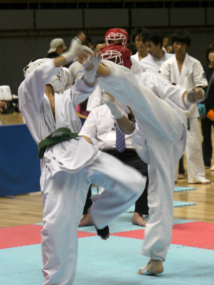 カラテ　試合